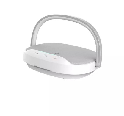 Прочее/ Колонка WIWU Y1